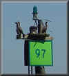 Properlookout Picture - Copyright 2001 S&J Ventures